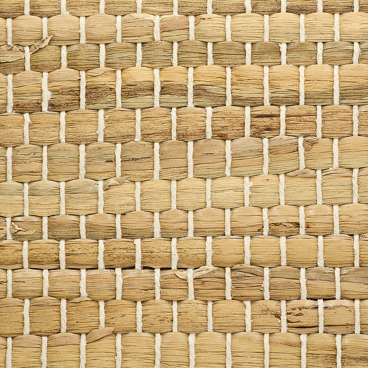 Braided Walls — Almond