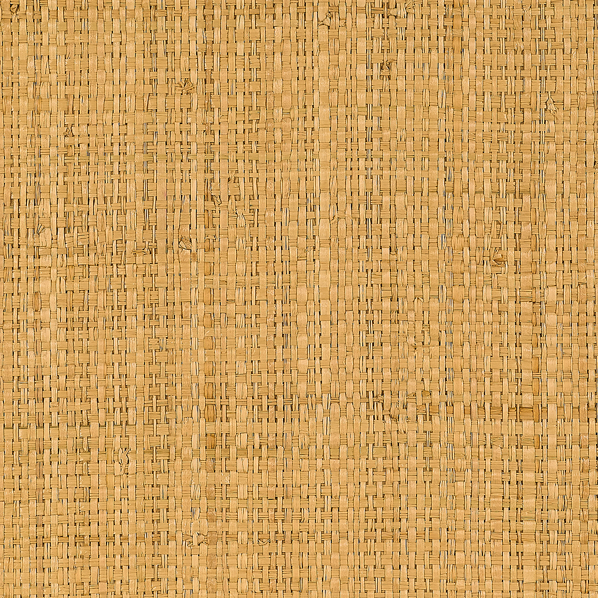 Capri Raffia — Golden Shoreline