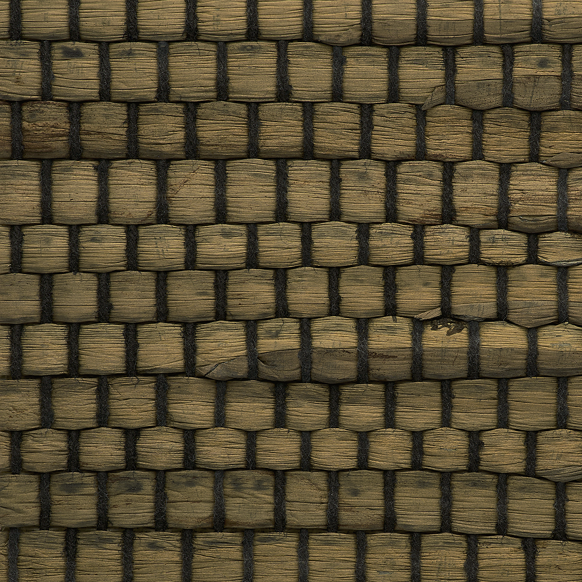 Celadon