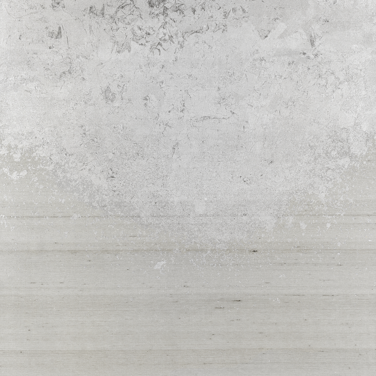 Silver on Star Dust Silk