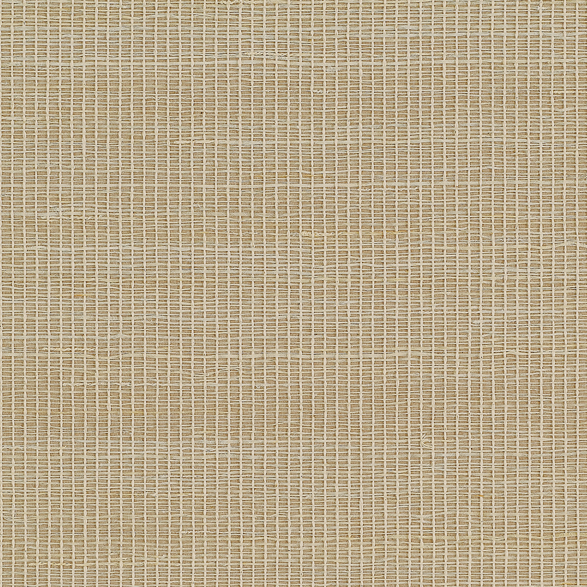 Sisal