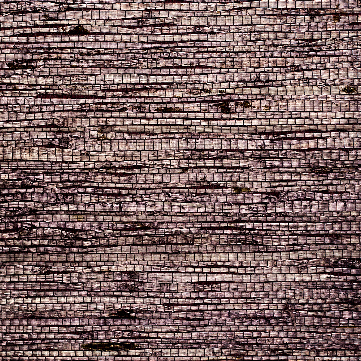Deep Wisteria