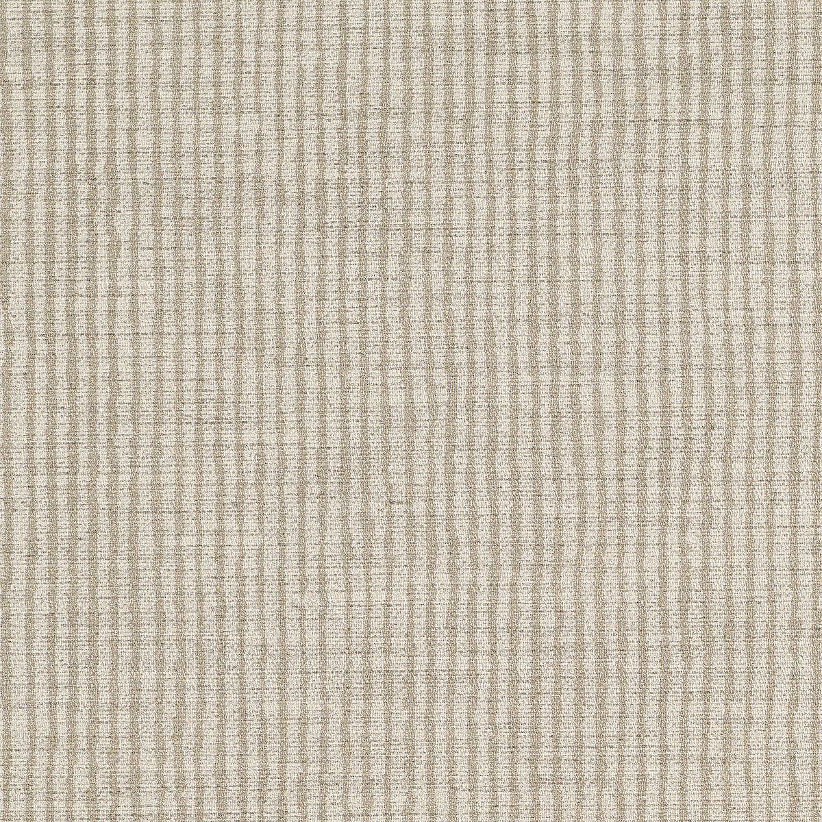 Ashen Stripe
