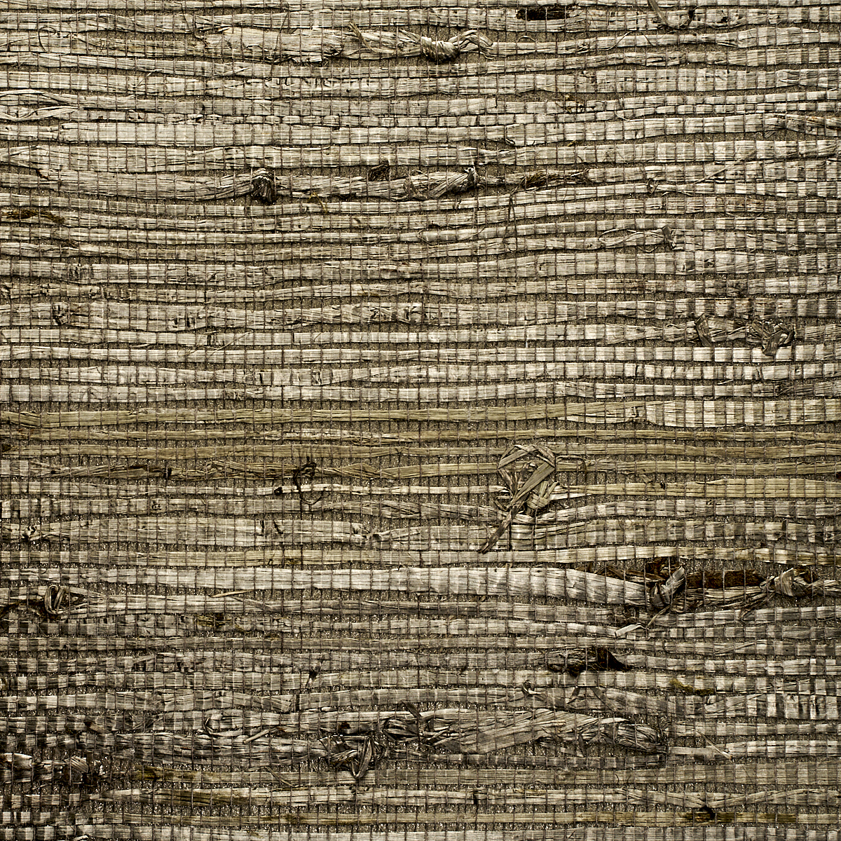 Steel