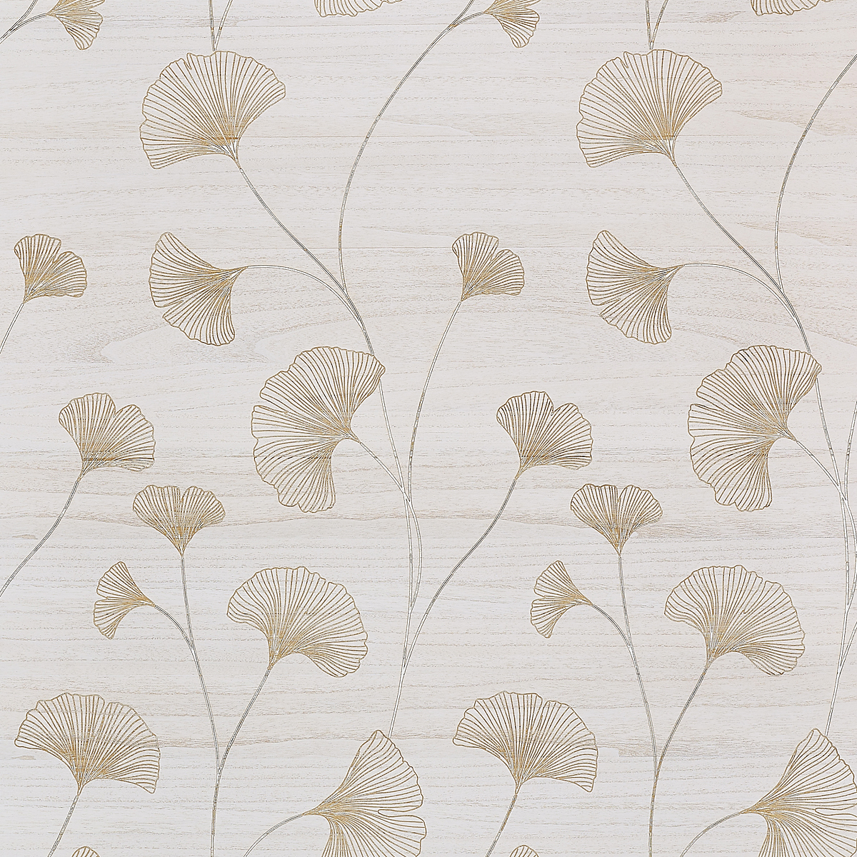 Ginkgo Garden — Sunlit Fan