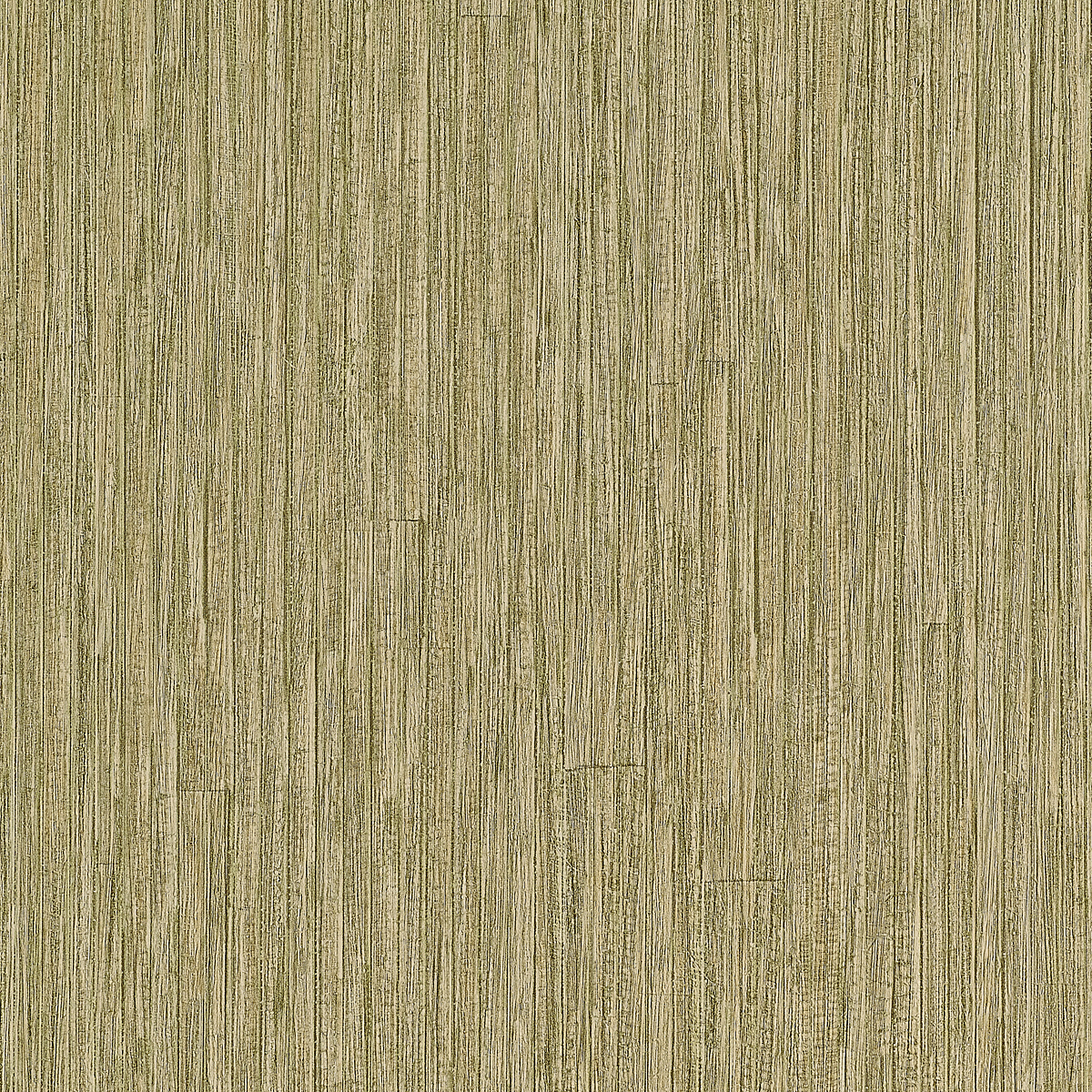 Eucalyptus