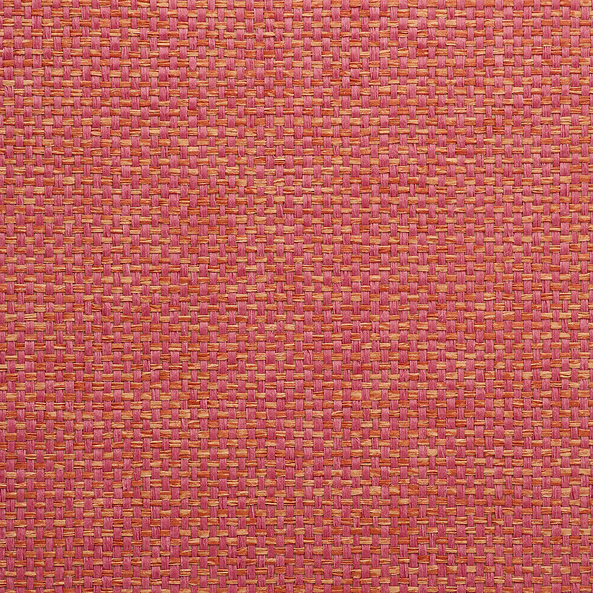 Coral Splash