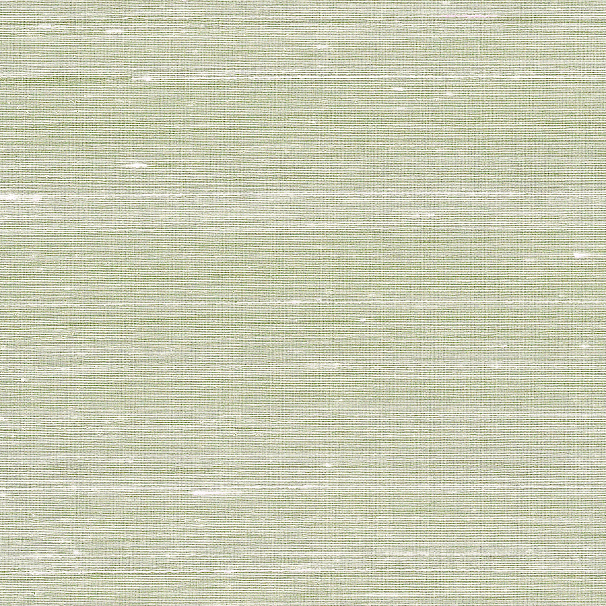 Spring Tide