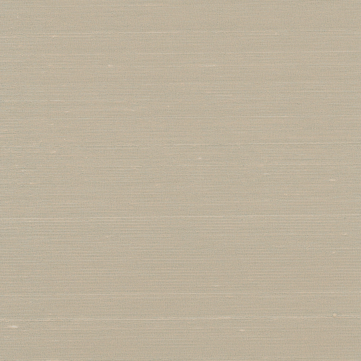 Eastern Ecru