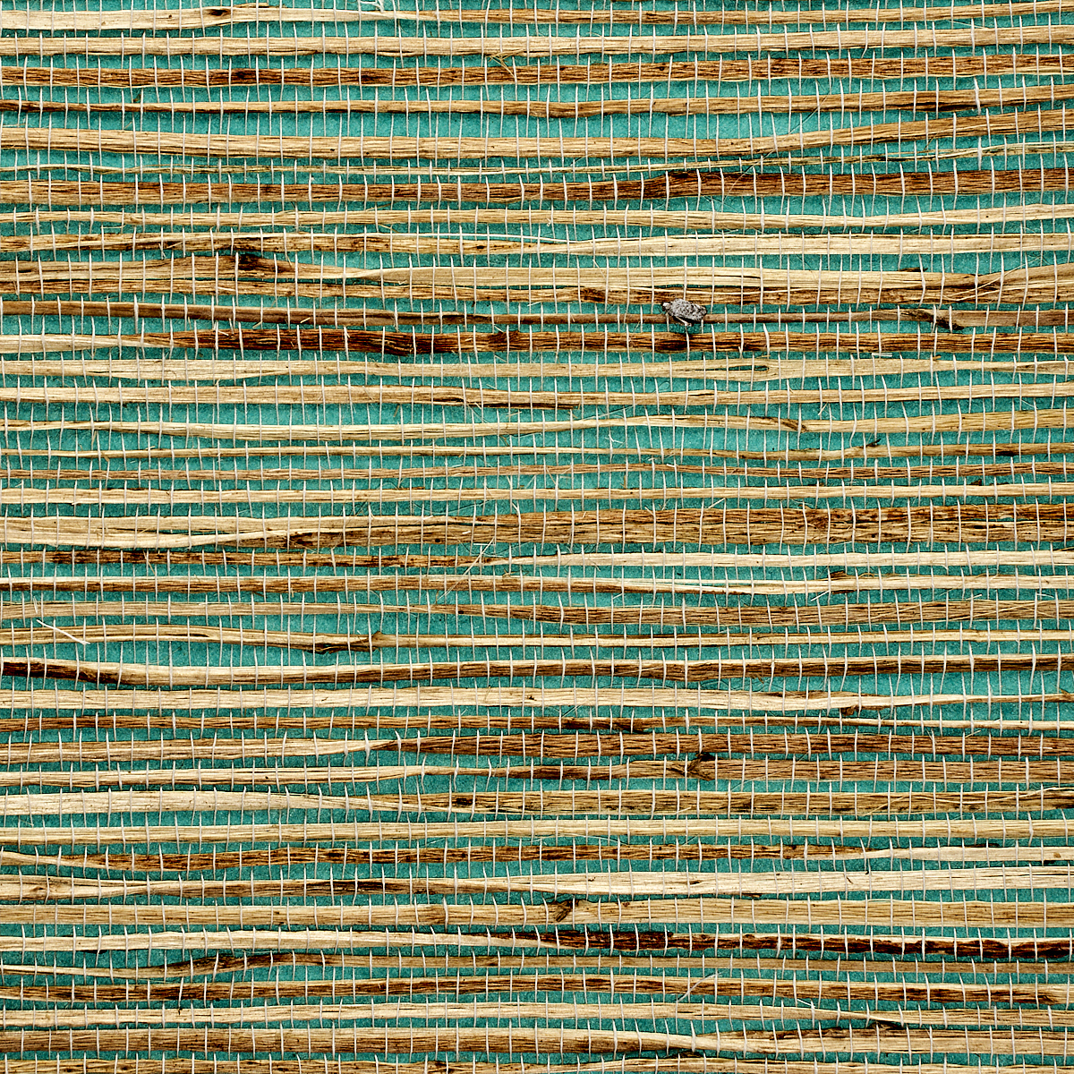 Tess Turquoise