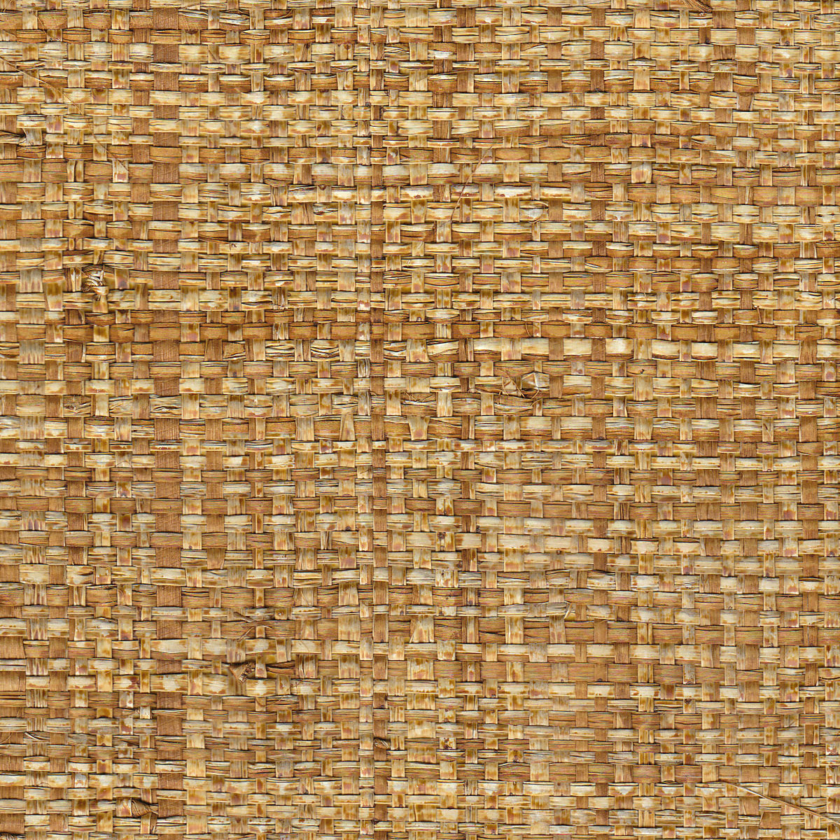 Cannes Copper