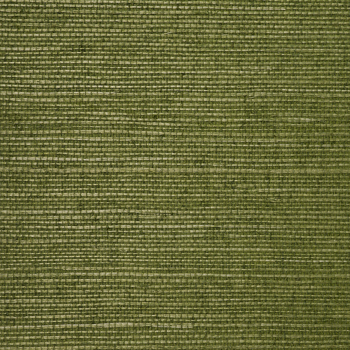 Kelly Green