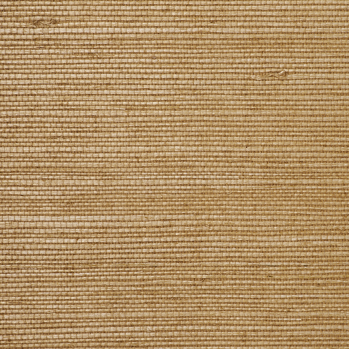 Wheat