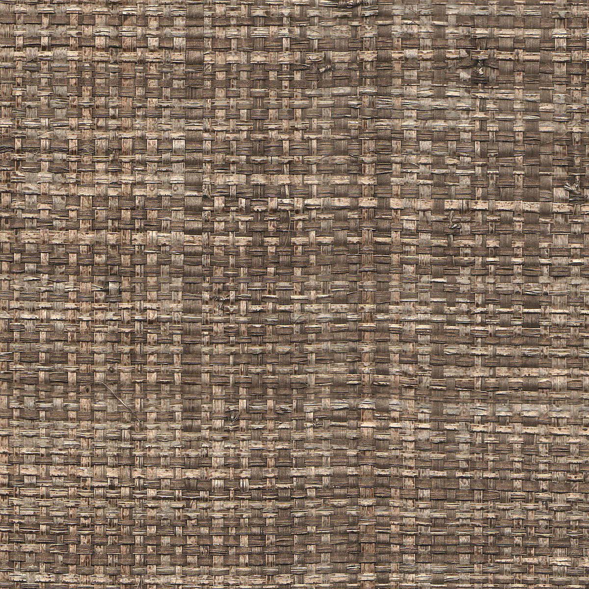 Bermuda Grey