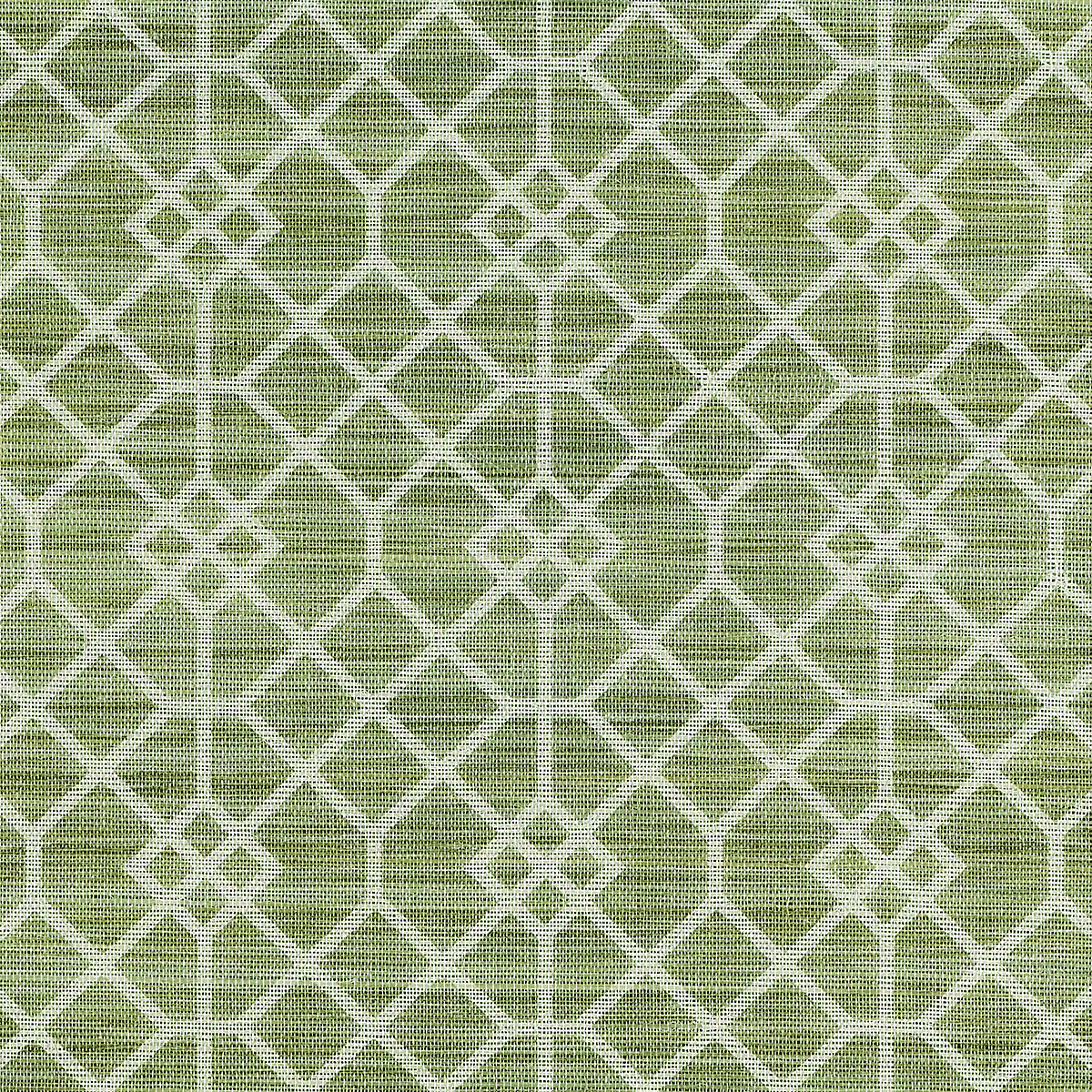 Willow Whisper on Glam Grass