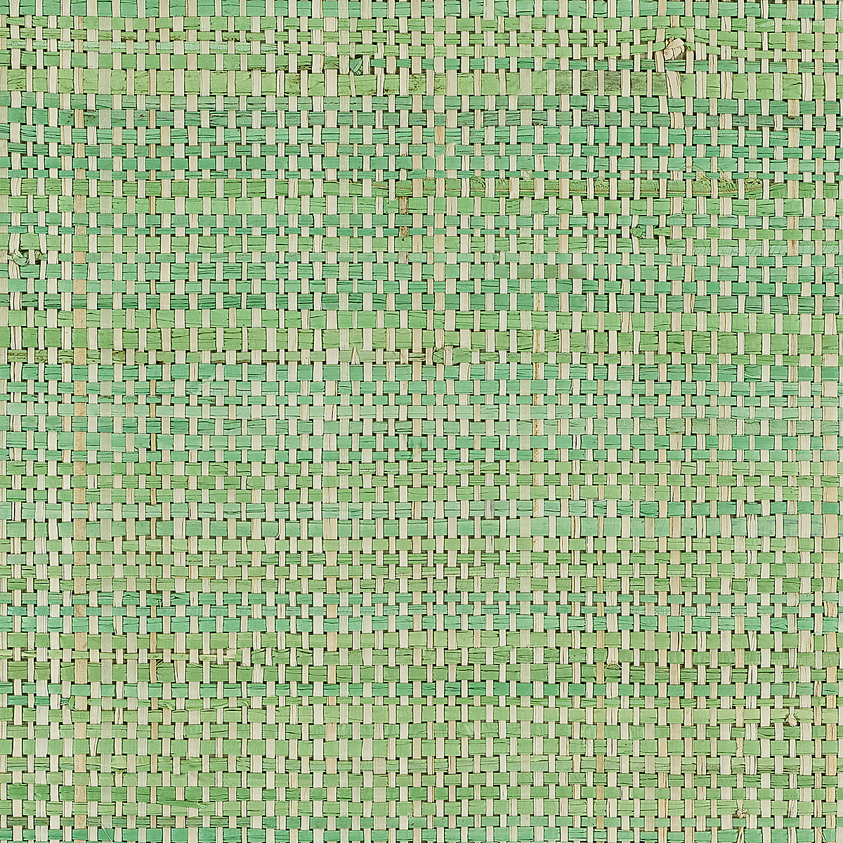 Two Tone Green