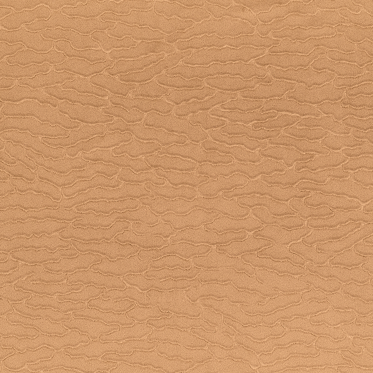 Soft Sands