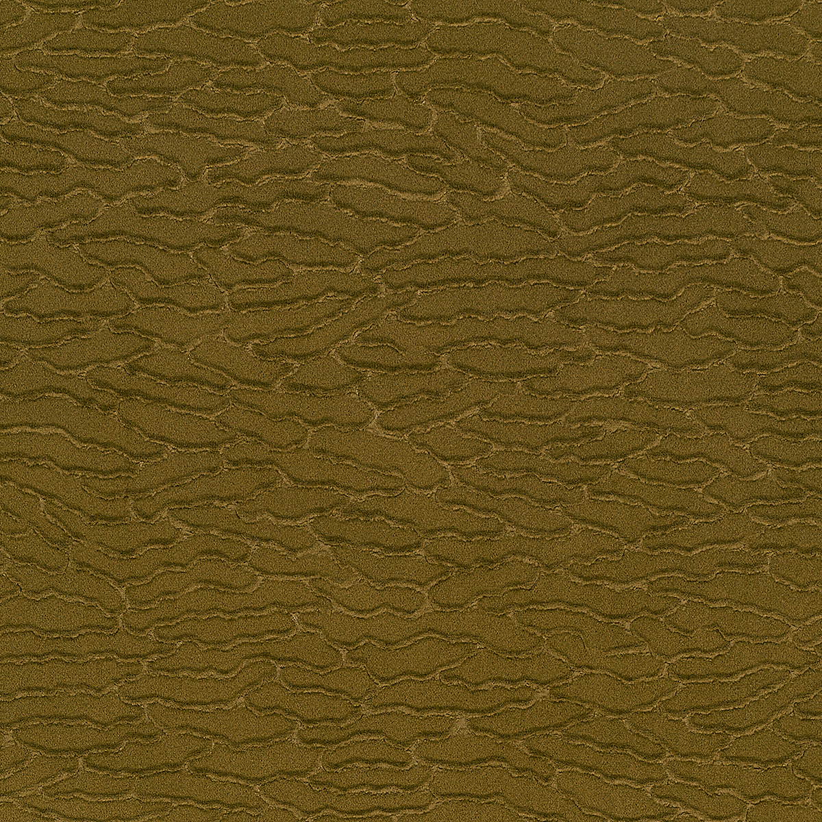 Velvet Dunes — Mojave Moss