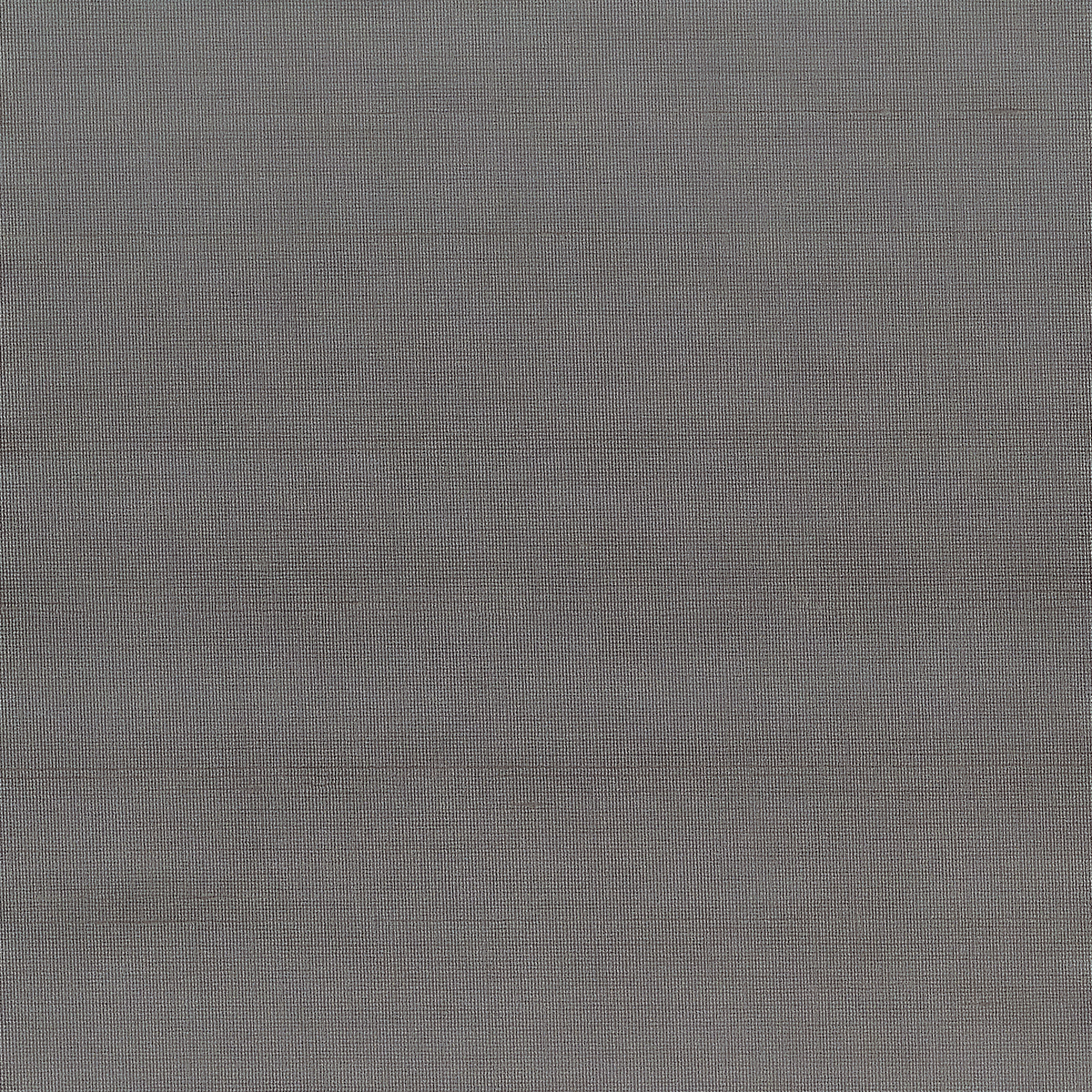 Silver on Star Dust Silk