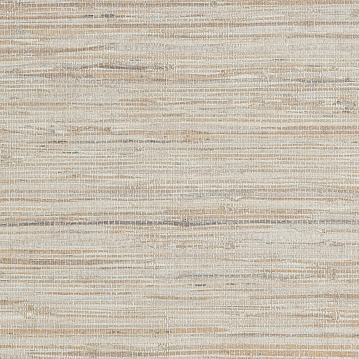 Oyster Shell