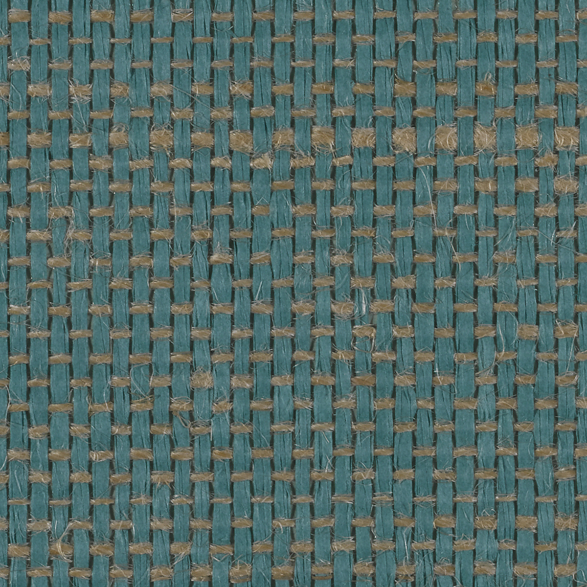Tanzania Teal