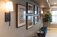 Enchanted Woods gallery 16