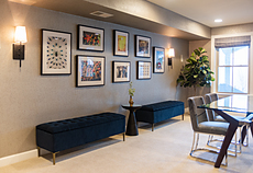 Enchanted Woods gallery 8
