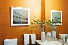 African Raffia gallery 26