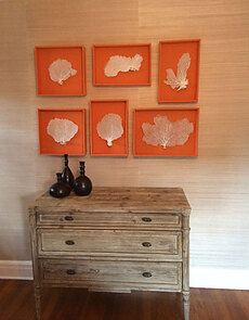Bermuda Hemp gallery 3