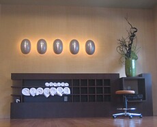 African Raffia gallery 43